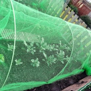 Garden Cloches