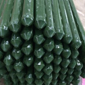 Tubular Steel Plastic Coated Canes 12mm