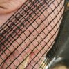 Strong Black Garden Netting 3m Width - Image 2