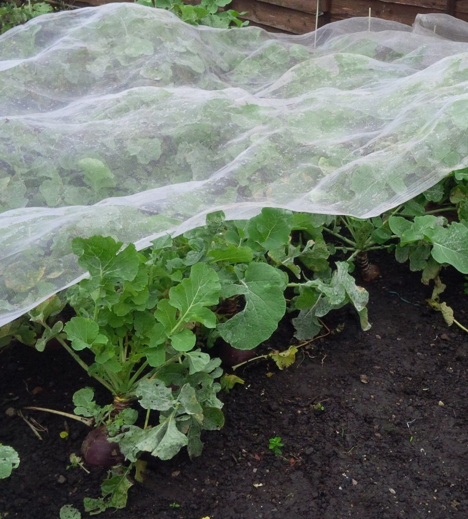 Insect Netting 4.2m Wide