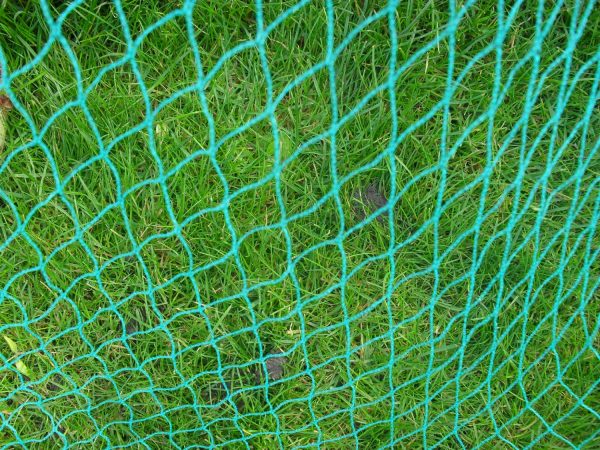 Bird Netting 2m Width