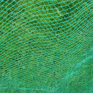 Bird Netting 1.5m Width 12mm x 12mm