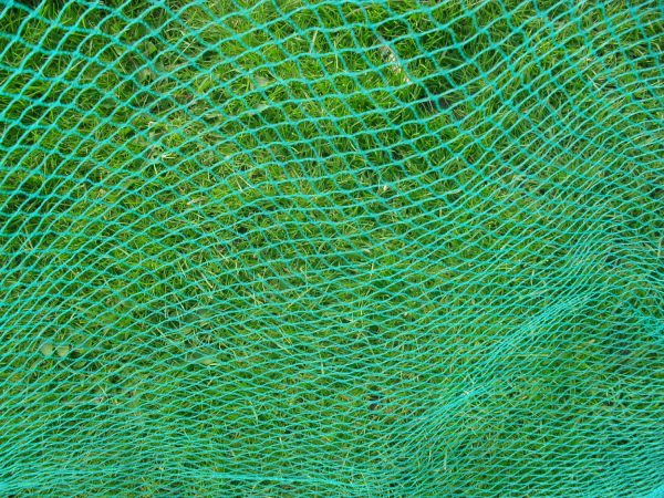 Bird Netting 1.5m Width 12mm x 12mm
