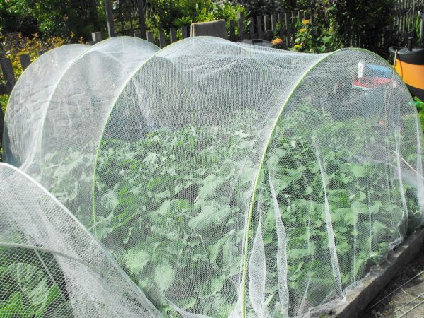 Butterfly Net 5mm Mesh