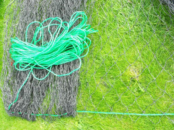 Animal Wire Net