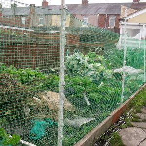 Fence Animal Netting