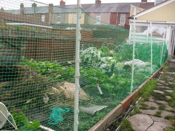 Fence Animal Netting