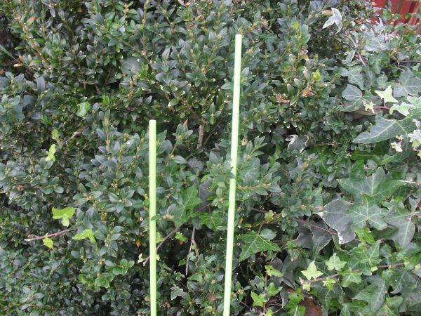Fibre Rod 1m x 8mm