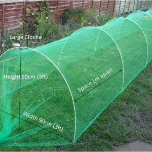 Garden Cloche Large