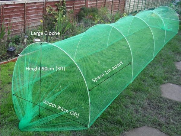 Garden Cloche Large