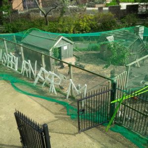 Bird Net 20m Width