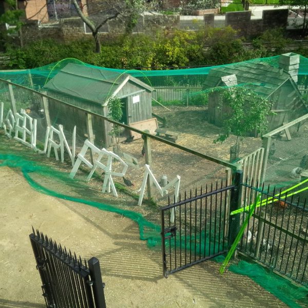 Bird Net 20m Width