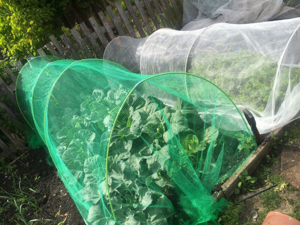 Bird B Gone Garden Bird Netting, 3/4 In. Mesh, Black, 14 Ft X 100 Ft - Foto 9