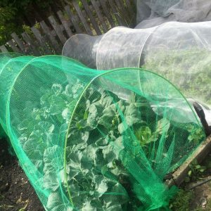 Anti Butterfly Netting 2m Width