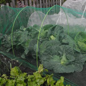 Anti Butterfly Netting 3m Width