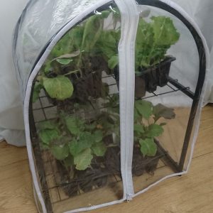 Small Propagator Cage 39cm x 32cm x 49cm