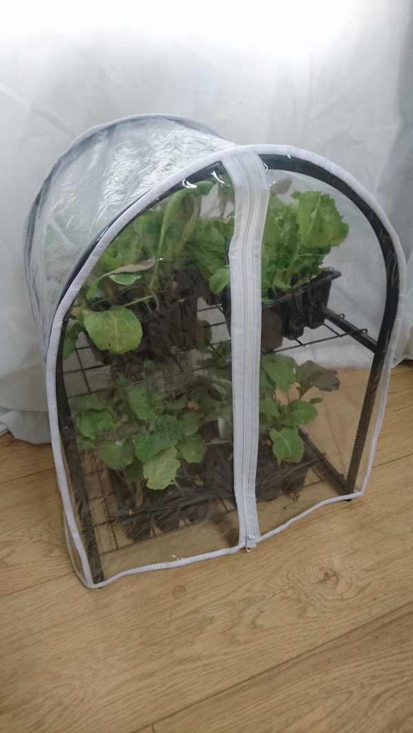 Small Propagator Cage 39cm x 32cm x 49cm