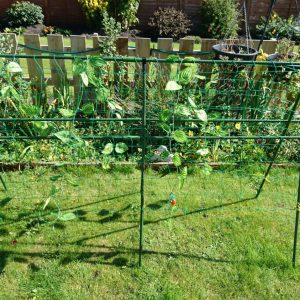 Pea Support Frame