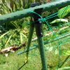 Pea Support Frame - Image 3