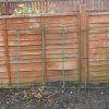 Plastic Coated Canes 16MM - Image 3