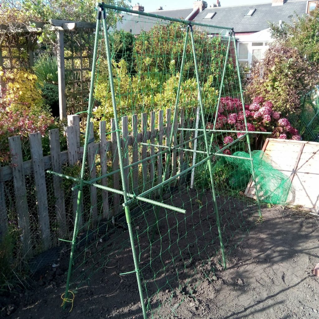 Pea Bean Support Frame