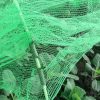 Garden Cloche XL - Image 2