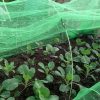 Garden Cloche XL - Image 3