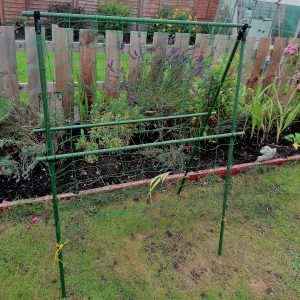 Pea Frame