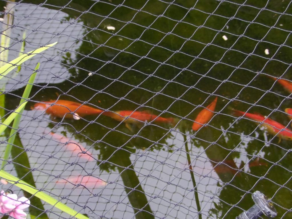 Pond Netting