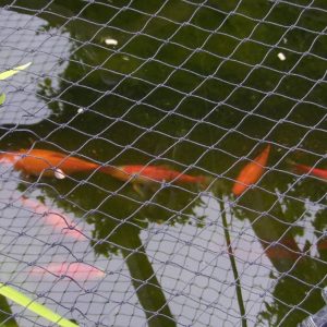 Pond Netting