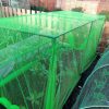 Fruit and Vegetable Protective Cage Supplied with Black or Green Butterfly Netting - Image 3