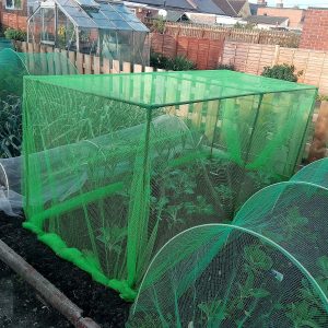 Fruit and Vegetable Protective Cage Supplied with Black or Green Butterfly Netting