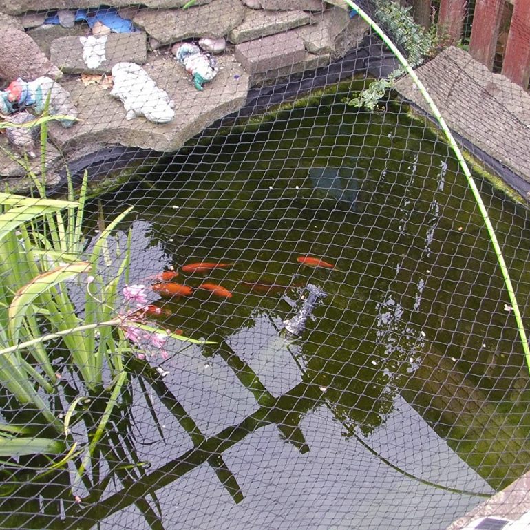 Pond Netting