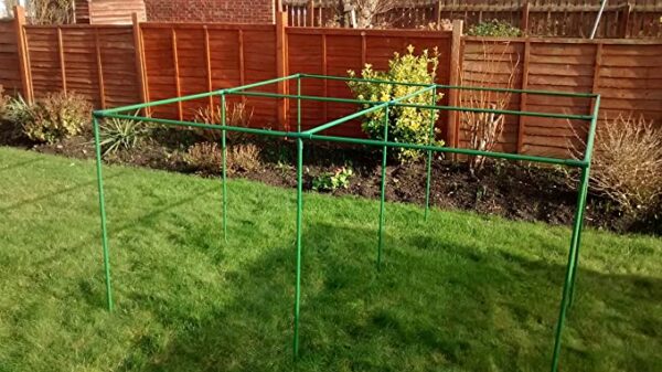 Fruit and Vegetable Cage frame 2m x 2m