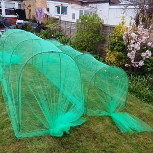 Easynets New Design Garden Cloche