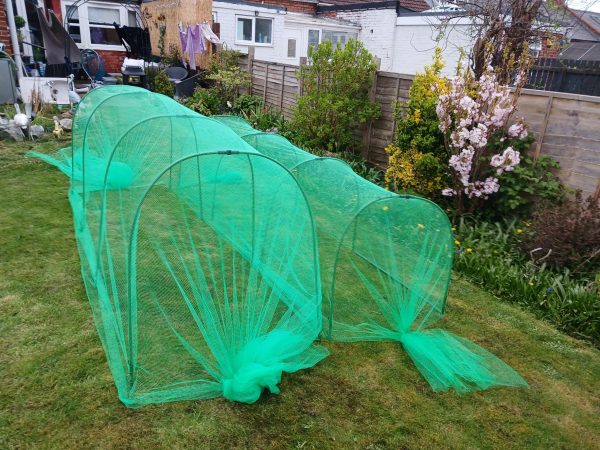 Easynets New Design Garden Cloche